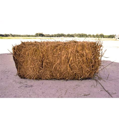 lowes straw|does lowe's sell straw bales.